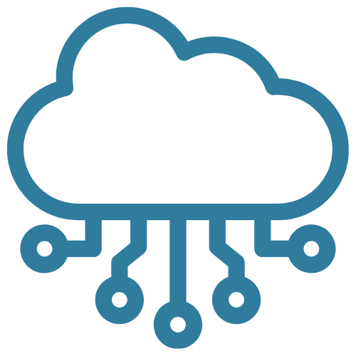 Virtual CIO Services